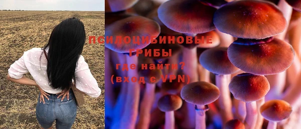 прущий лед Алексин