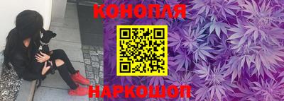 Альфа ПВП Кунгур