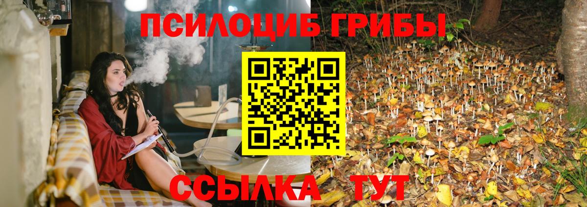 ГАШ  LSD-25  MDMA  КОКАИН  Мефедрон   Лениногорск  Вход с VPN  Конопля 